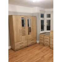 Folding Door 